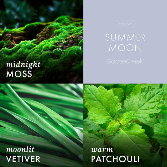 Summer Moon Wax Melt